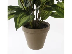 Discount Mobilibrico Planta artificial de Poliéster y terracota - 65 x Ø40 - - HOSTA Verde