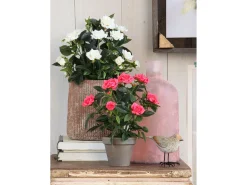 Mobilibrico Planta Artificial-Planta artificial de Poliéster y terracota - Ø25 x 33 - - ROSEBUSH Blanco