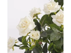 Mobilibrico Planta Artificial-Planta artificial de Poliéster y terracota - Ø25 x 33 - - ROSEBUSH Blanco