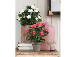 Mobilibrico Planta Artificial-Planta artificial de Poliéster y terracota - Ø25 x 33 - - ROSEBUSH Blanco