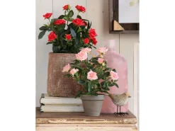 New Mobilibrico Planta artificial de Poliéster y terracota - Ø25 x 33 - - ROSEBUSH Rojo