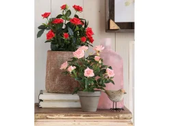 New Mobilibrico Planta artificial de Poliéster y terracota - Ø25 x 33 - - ROSEBUSH Rojo