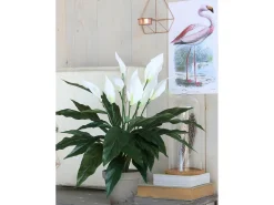 Planta Artificial-Planta artificial de Poliéster y terracota - 50 x Ø40 - - SPATHIPHYLLUM Blanco