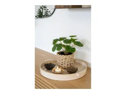 Outlet House Nordic Planta artificial Pilea Planta china del dinero verde 28 cm Multicolor