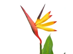 Planta artificial Strelitzia Reginae Oiseau de Paradis 66 cm Multicolor Best