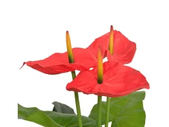 Planta Artificial-Planta de anturio artificial con maceta 90 cm roja y amarilla ES494303 Rojo