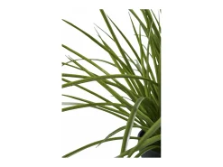 New House Nordic Planta de césped artificial verde 45 cm Multicolor