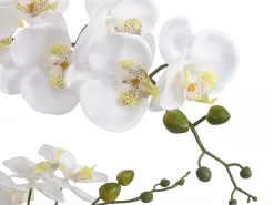 OZAIA Planta, flor artificial orquídea - Alt. 65 x Ancho 54 cm- Blanco -TARA Verde / Blanco New