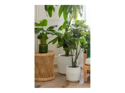 J-Line Planta plástico en maceta Alt. 70 cm Verde Online