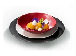 MEDARD DE NOBLAT Plato de Ensalada y Pasta Stone Rouge 19 cm (Lote de 6) Rojo Outlet