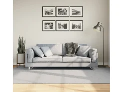 Garden Furniture Alfombra De Salón-Prolenta Premium - Alfombra de pelo corto suave lavable HUARTE 160x230 cm Gris