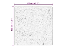 Garden Furniture Alfombra De Salón-Prolenta Premium - Alfombra de pelo corto suave lavable HUARTE 120x120 cm Beige