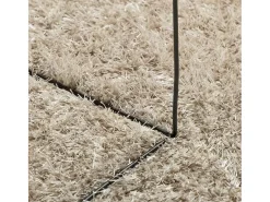 Garden Furniture Prolenta Premium - Alfombra pelo largo aspecto brillante ISTAN beige 120x170 cm Multicolor New