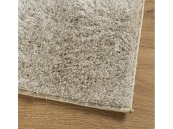 Garden Furniture Prolenta Premium - Alfombra pelo largo aspecto brillante ISTAN beige 120x170 cm Multicolor New