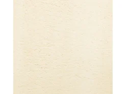 Best Garden Furniture Prolenta Premium - Alfombra de pelo corto suave lavable HUARTE 100x200 cm Crema