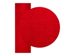 Garden Furniture Prolenta Premium - Alfombra de pelo corto suave lavable HUARTE 80x250 cm Rojo Discount