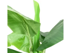 Best Árbol bananero artificial con macetero 300 cm ES817508 Verde