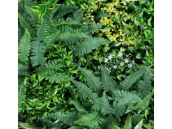 NORTENE Rollo jardin vertical sauvage 100 x 100 cm 100X100 CM Verde Sale