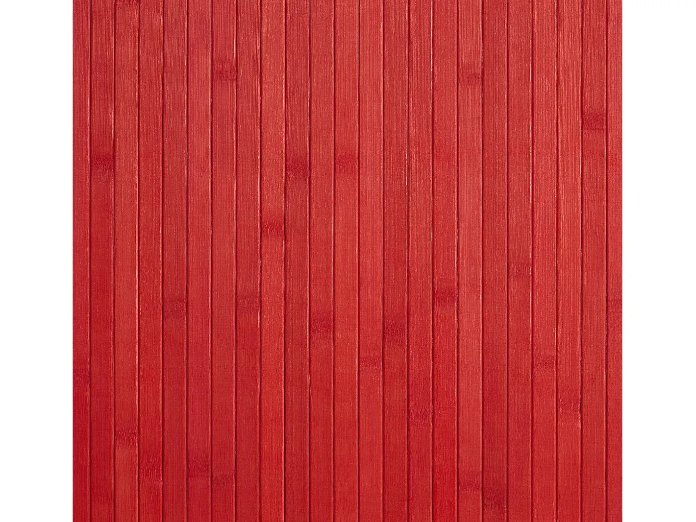 Best Separador de ambiente 200x250x0,3 cm Rojo