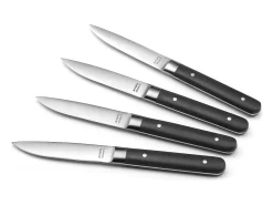 Amefa Cubierto-Set de 4 cuchillos para carne Fusion Noir - Hoja lisa y mango de ABS - 22 cm Negro