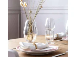 VILLEROY & BOCH Vaso-Set de 4 vasos de agua de cristal 250 ml, Rose Garden Transparente
