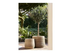 Les Tendances Macetero-Set van 2 MORO plantenbakken – Natuurlijk kubu rotan Beige