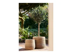 Les Tendances Macetero-Set van 2 MORO plantenbakken – Natuurlijk kubu rotan Beige