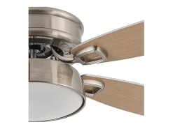 AKUNADECOR Ventilador Dc Braw Niquel Led 5 Aspas Y Control Remoto Plateado Online